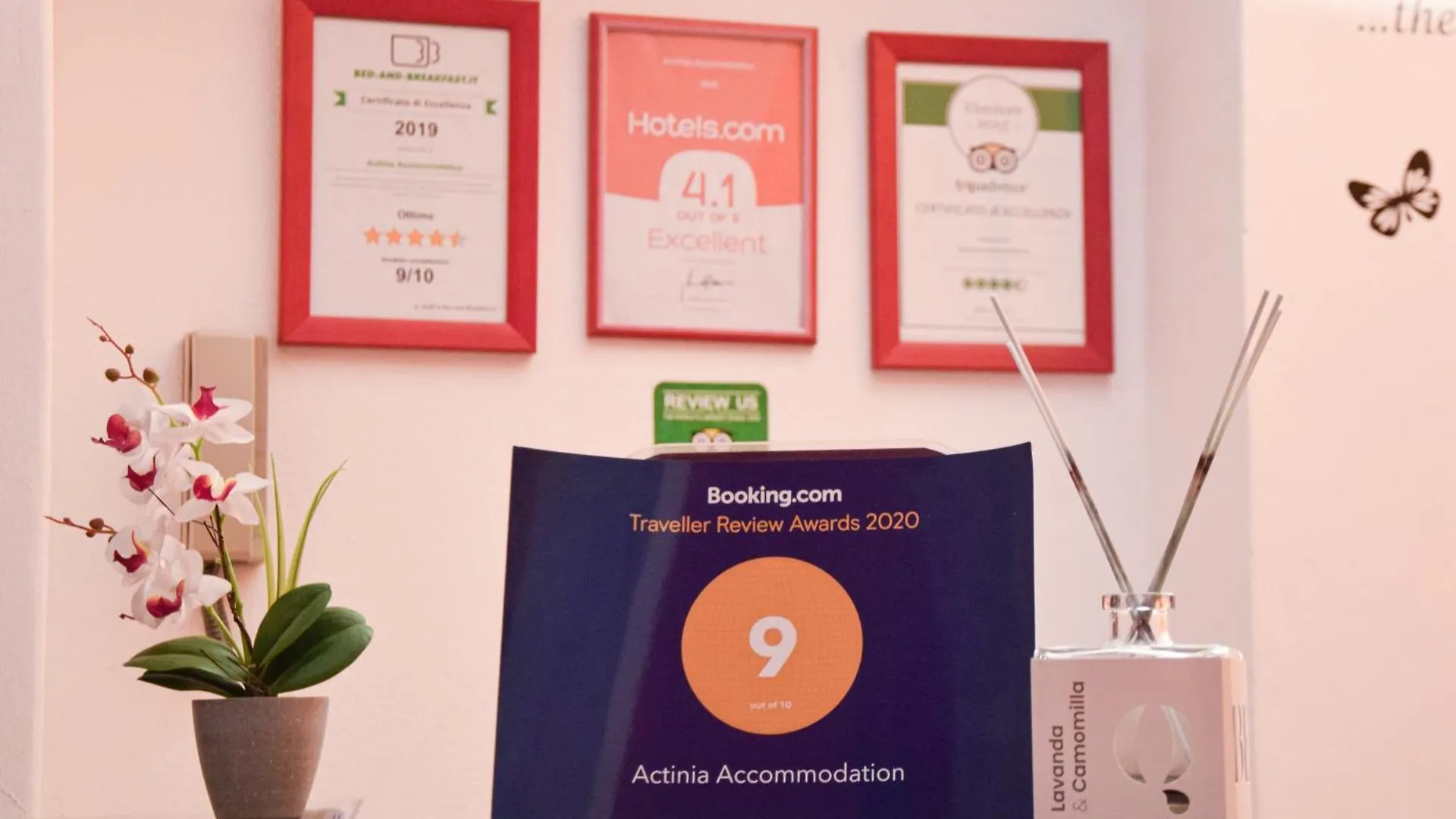 Actinia Accommodation Alghero