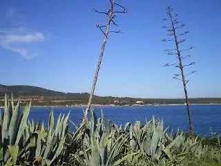 Actinia Accommodation Alghero Gasthuis