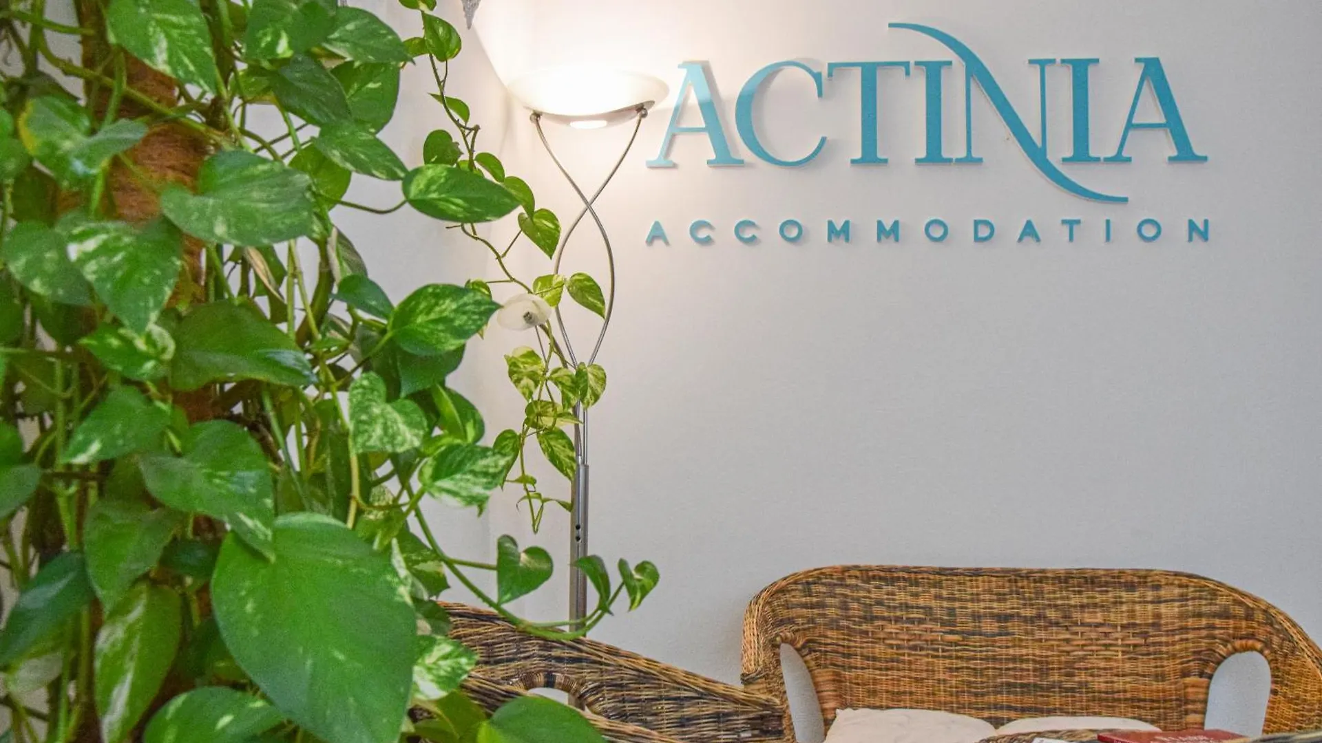 Actinia Accommodation Alghero Penzion